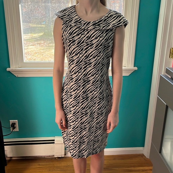 Zebra Striped Dress by Calvin Klein Size 8 - Picture 1 of 3